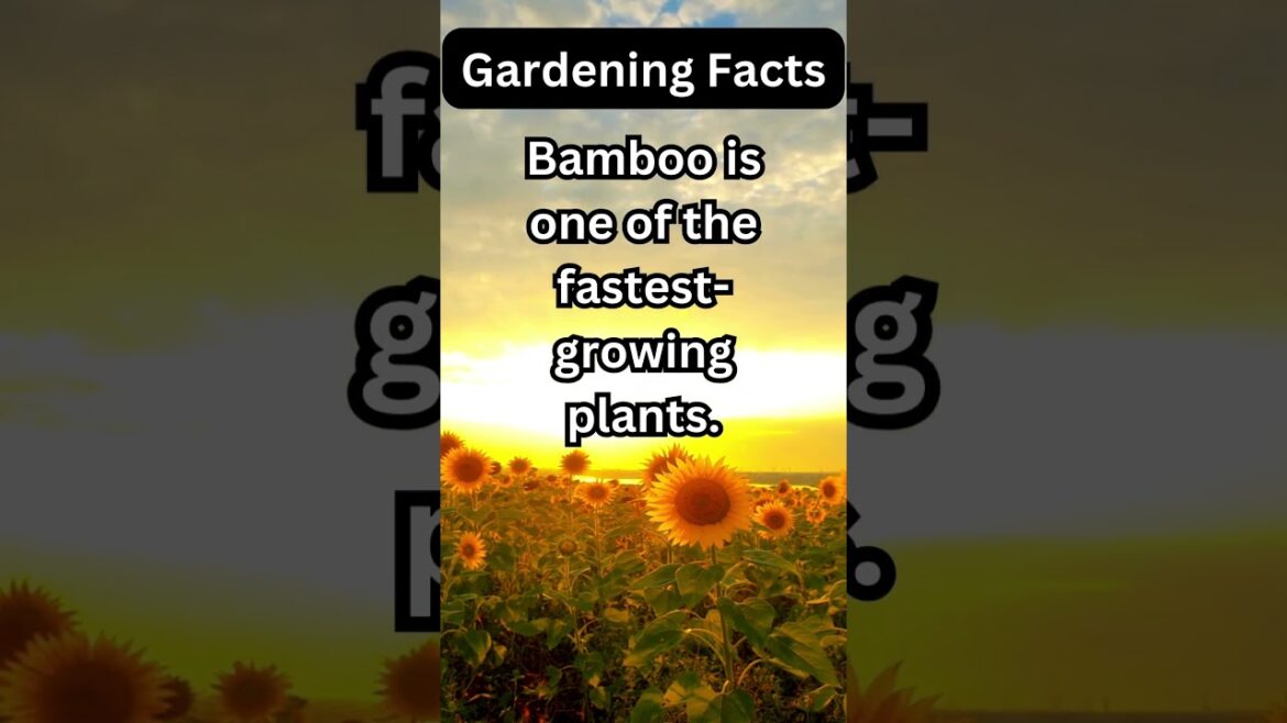 Mind-Blowing Gardening Facts #gardening #farming #plants #flowers #food #trending #viral #subscribe Mind-Blowing Gardening Facts #gardening #farming #plants #flowers #food #trending #viral #subscribe