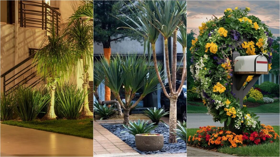 garden design,small garden,garden ideas,garden,small garden design,garden design ideas,small garden garden design,small garden,garden ideas,garden,small garden design,garden design ideas,small garden