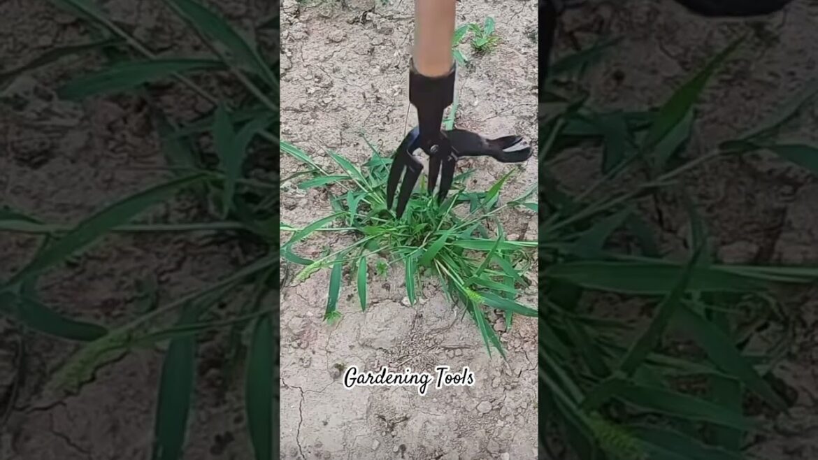 Gardening tools | Smart Gadgets 2025 #home #gardening #tools #chinafactory #gardeningtips #garden