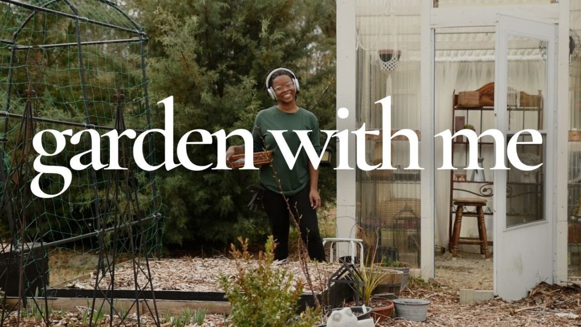 An Afternoon of Garden Chores & Planting Cool Season Vegetable Seeds