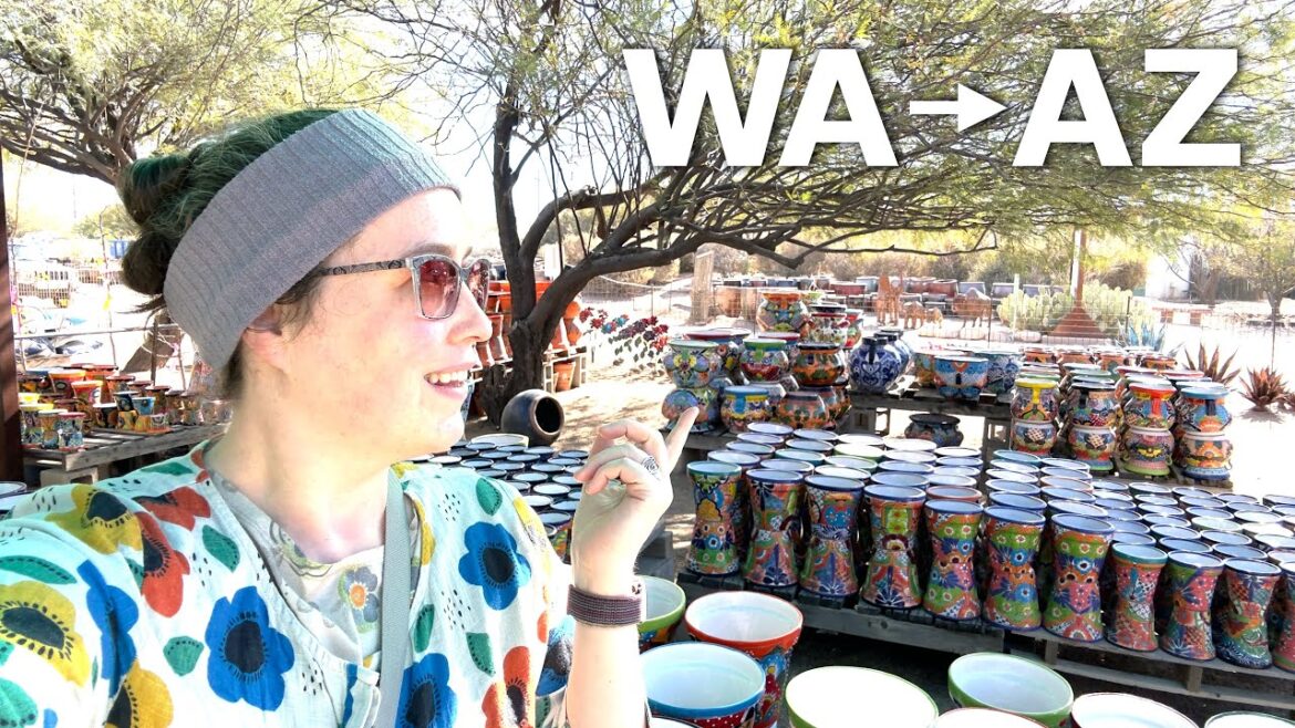 Discover a Cactus Wonderland at This Tucson Garden Center!