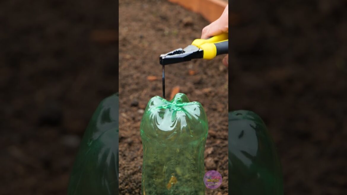 OMG! Garden Hacks That Will Blow Your Mind! 🤯🌿