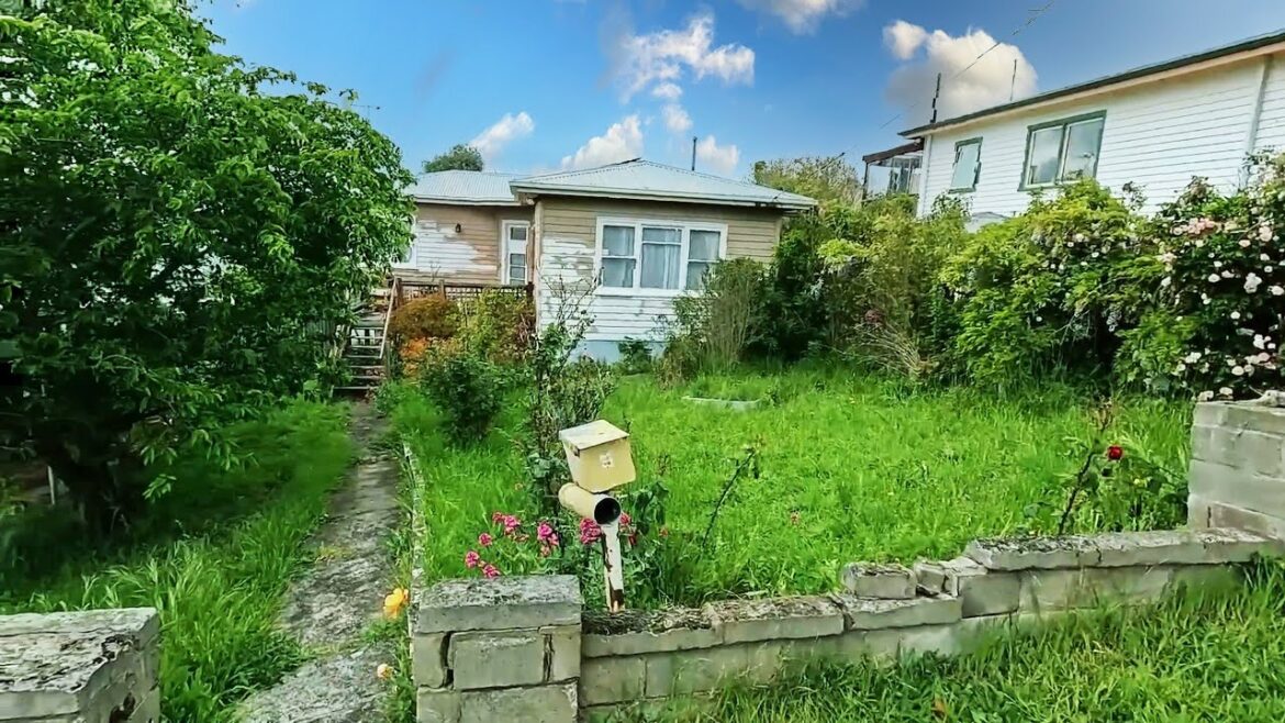 I Thought I Would QUIT When I Saw This YARD… I Thought I Would QUIT When I Saw This YARD...