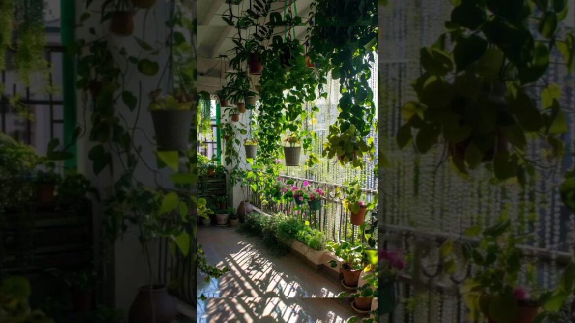 Balcony Makeover Ideas #shorts #viral #makeover #balconygarden Balcony Makeover Ideas #shorts #viral #makeover #balconygarden