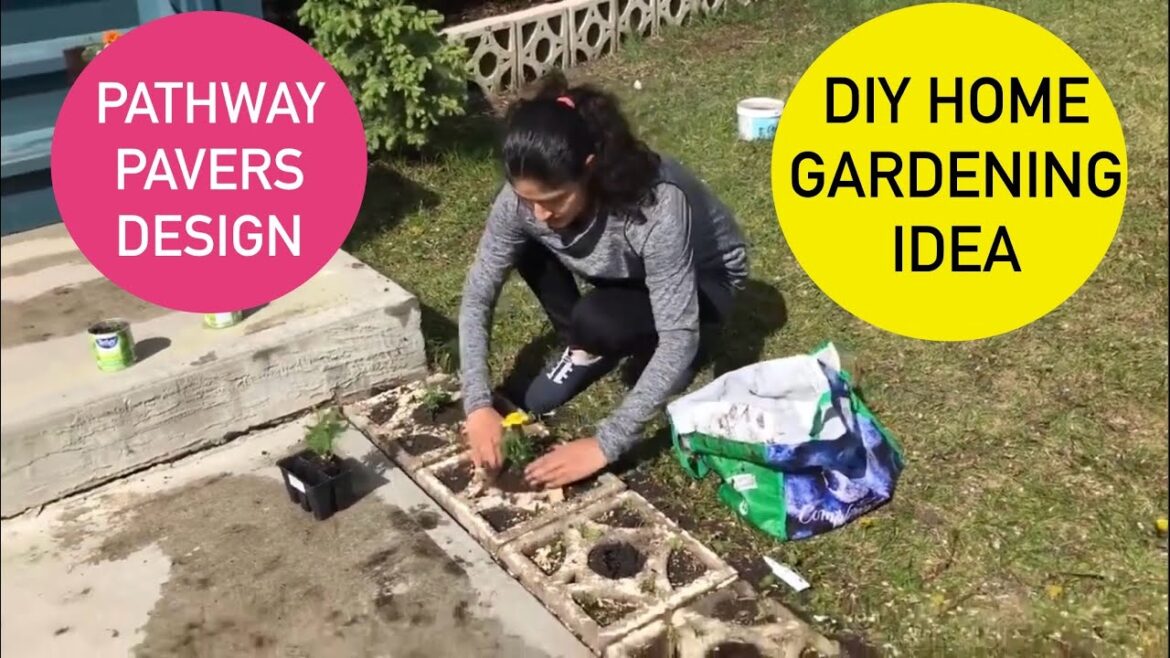 Home Decor Ideas, Small Garden Idea, Interior Designer, Small house designs, Best Color Combinations