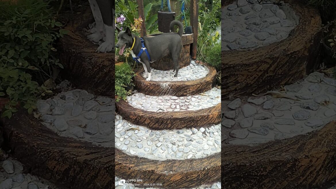 wishing well | beautiful garden design