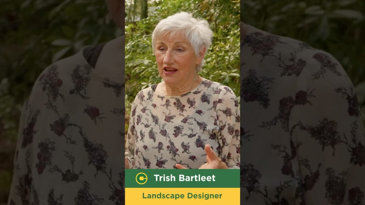 Auckland Garden DesignFest – featured designer Trish Bartleet.