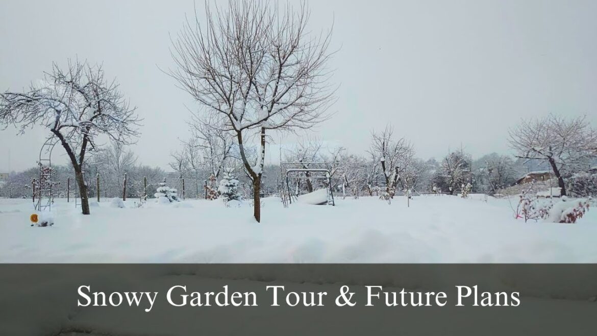 Winter Wonderland: A Snowy Garden Tour & Future Plans ❄️🌿