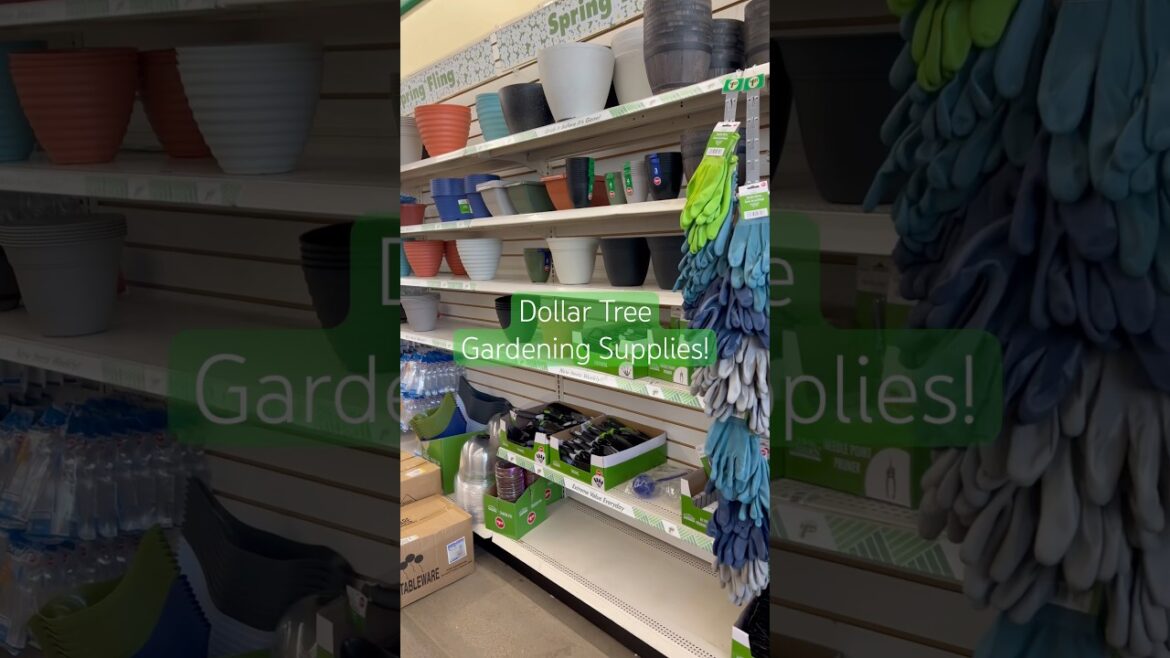 Run to Dollar Tree! Gardening Supplies and plant decor are hitting the shelves #plantdecor #plants