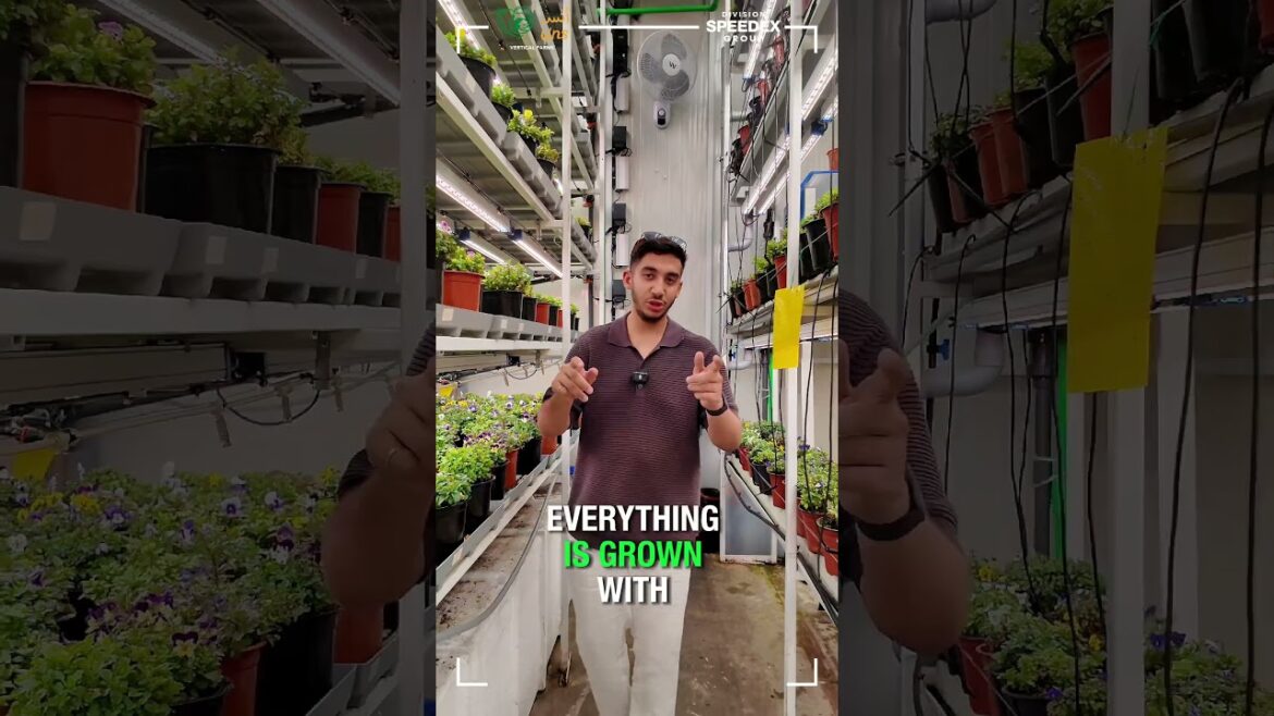 Edible flowers: Good for You & the Environment! 🌸✨ Edible flowers: Good for You & the Environment! 🌸✨