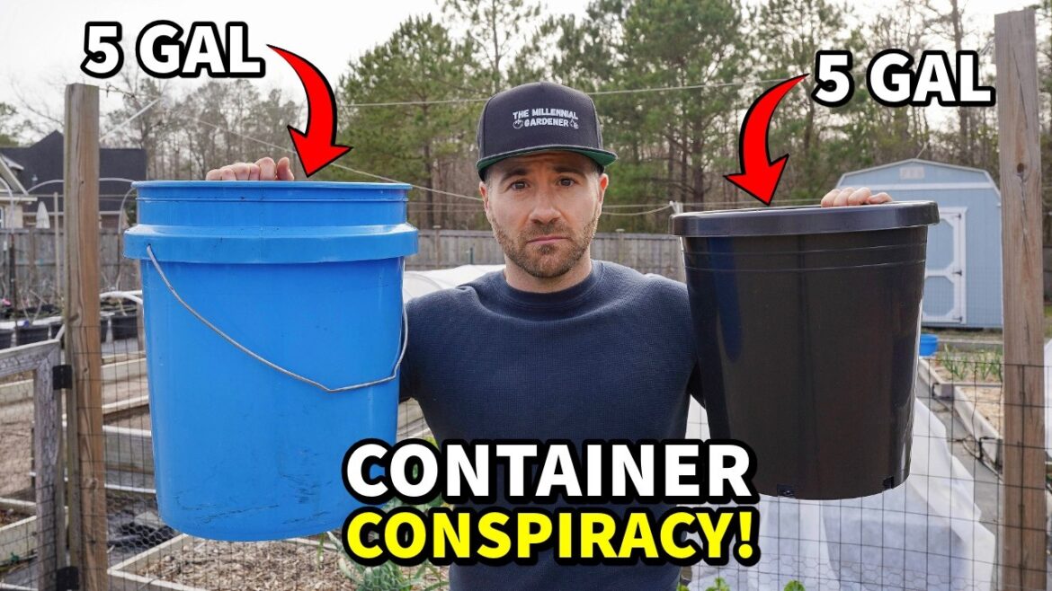 Nursery Pot Companies EXPOSED: The TRUTH About Nursery Container Size!