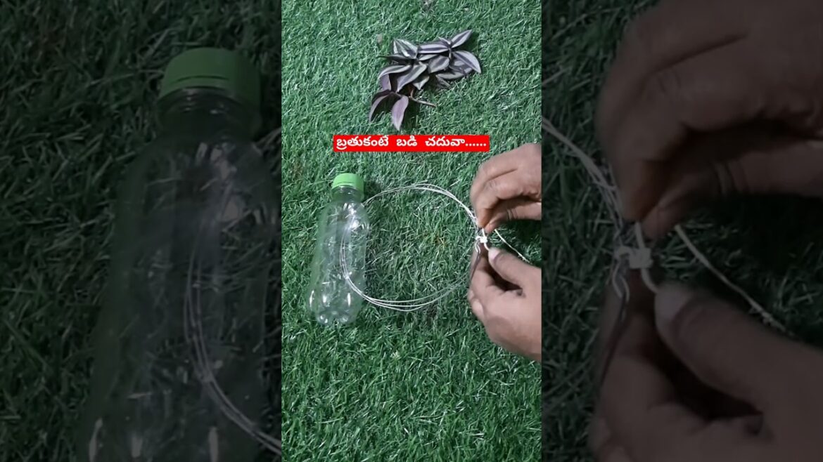 plastic bottles gardening ideas for home l waste meterial l hanging plants l garden ideas l