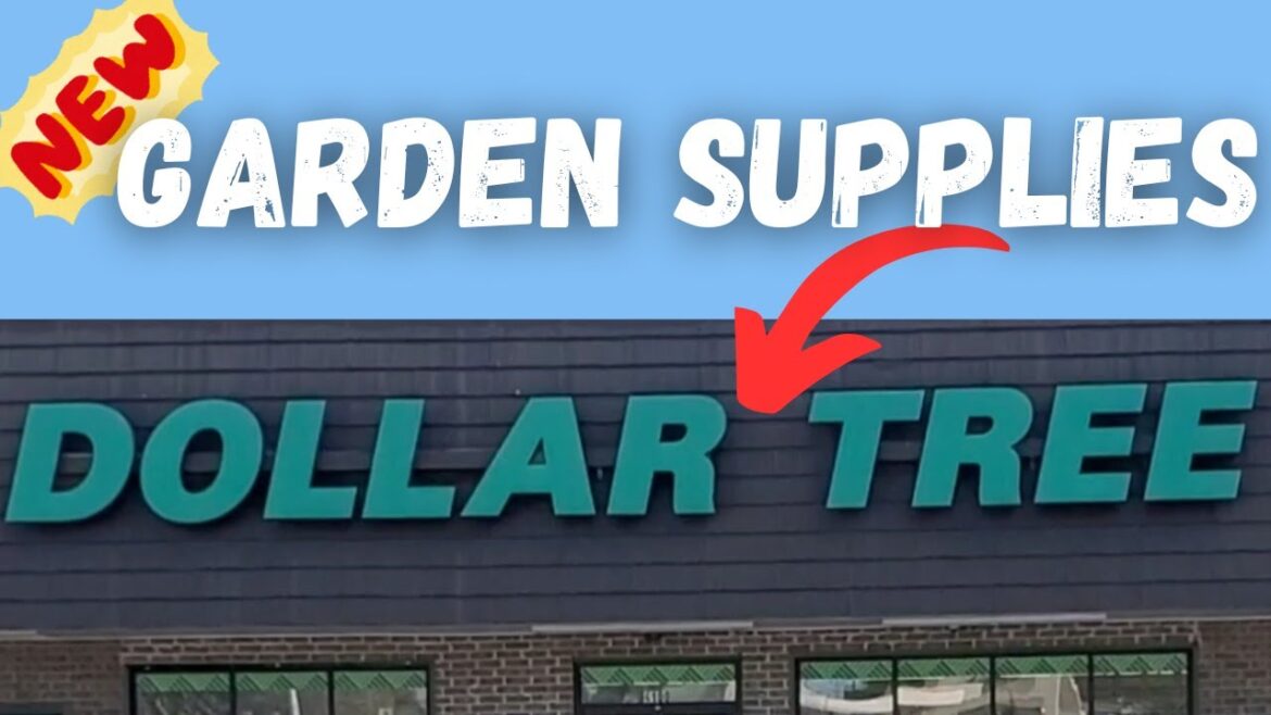 2025 Dollar Tree GARDEN Supplies Are Here!! NEW Items!