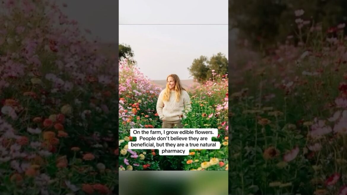 On the farm, I grow edible flowers. #edibleflowers #flowers #food #usa #health #healthyfood