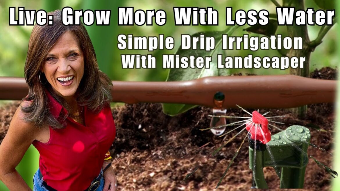 CaliKim: LIVE: Grow More with Less Water: Drip Irrigation Made Simple with Mister Landscaper LIVE: Grow More with Less Water: Drip Irrigation Made Simple with Mister Landscaper