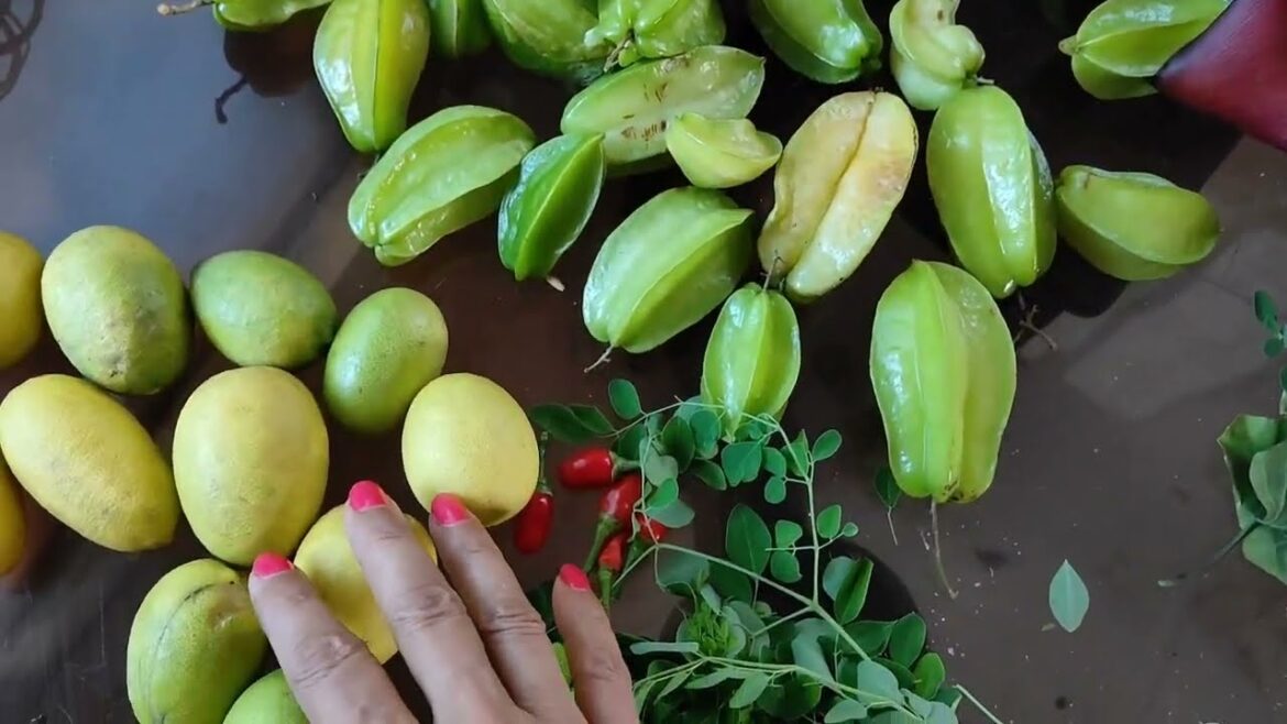 Backyard garden harvest organic vegetables fruits and flowers |