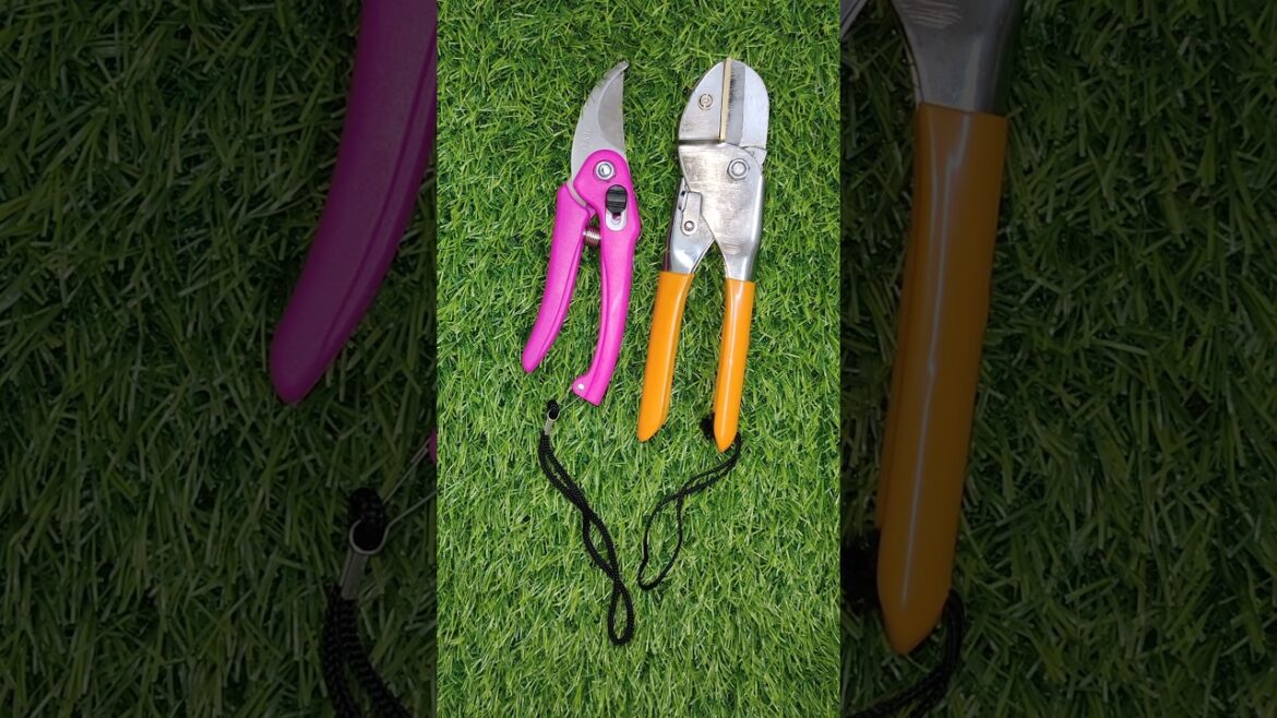 Meesho Gardening Tools Pruner Kit Set Unboxing 🌿 #shorts