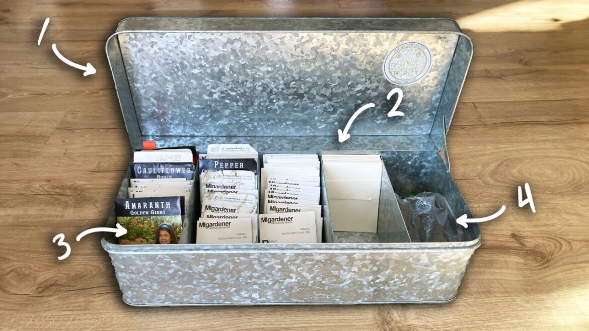4 Steps To Organize SEEDS For Gardening | Do this BEFORE You Buy New Seed Packets 4 Steps To Organize SEEDS For Gardening | Do this BEFORE You Buy New Seed Packets