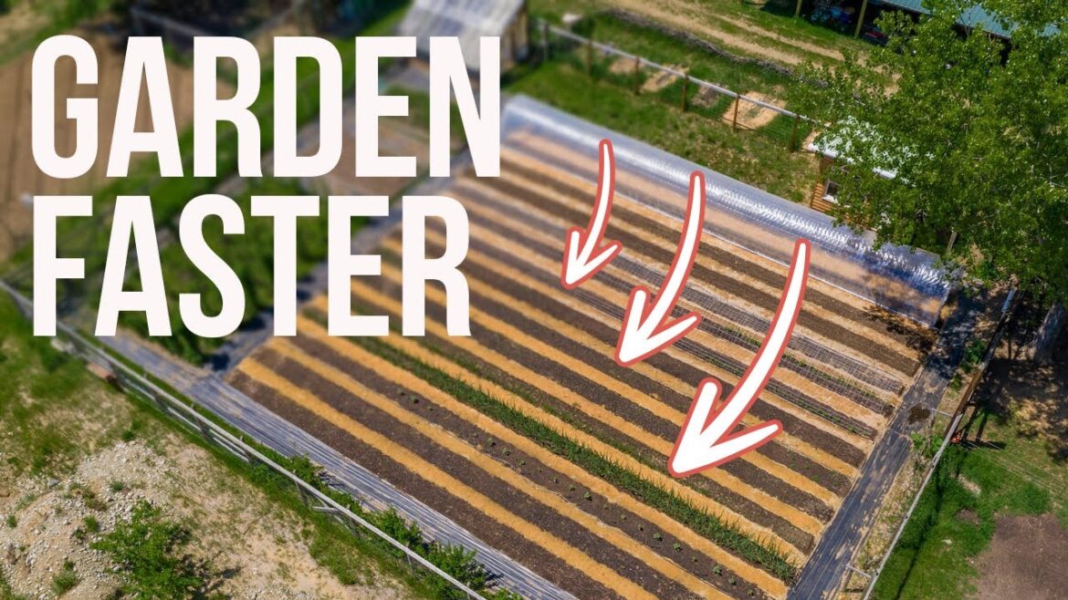 This ONE Thing Completely Changed How We Approach Garden Planning!