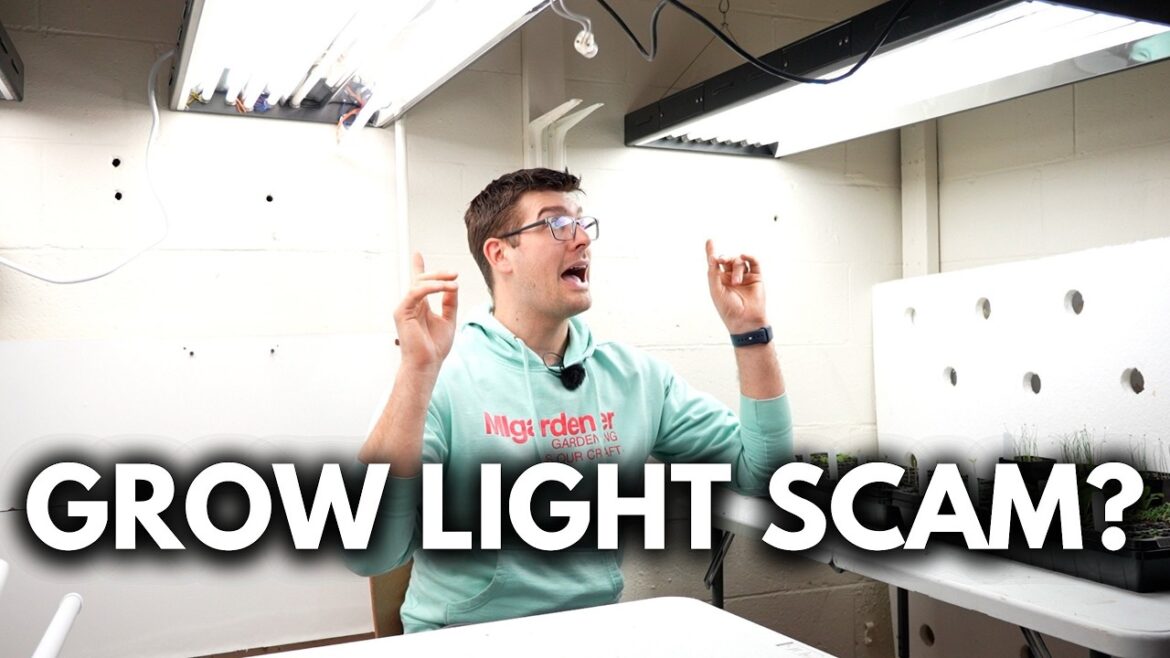 Ignore These MYTHS About Growlights as a Beginner!