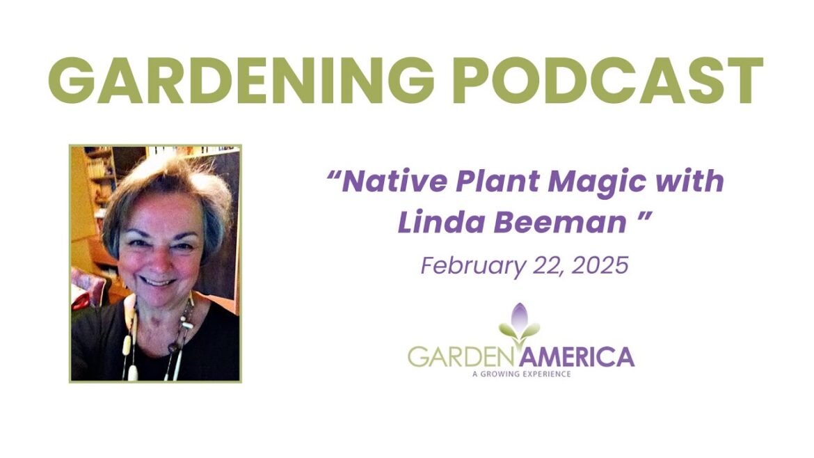 Native Plant Magic with Linda Beeman - Garden America Podcasts & Radio Show [2.22.25]