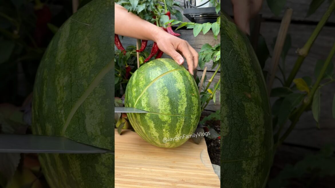 Fruit Cutting Golden Watermelon 🍉😱 #shorts #fruit #satisfying #enjoy #garden