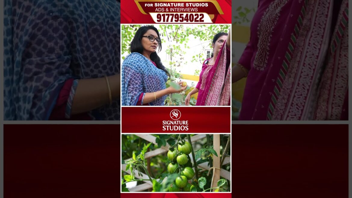 @MADGARDENER Mad Gardener Madhavi Special Interview | Signature Studios