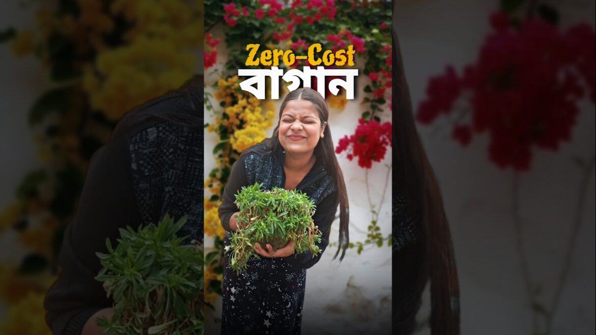 পয়সা খরচ না করেই বাগান 😰🪴 #shorts #bengali #minivlog #gardening পয়সা খরচ না করেই বাগান 😰🪴 #shorts #bengali #minivlog #gardening