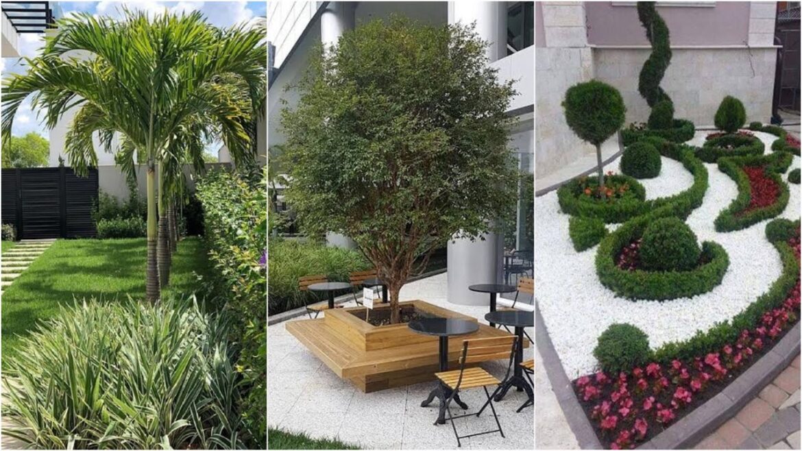 garden design,small garden,garden ideas,garden,small garden design,garden design ideas,small garden