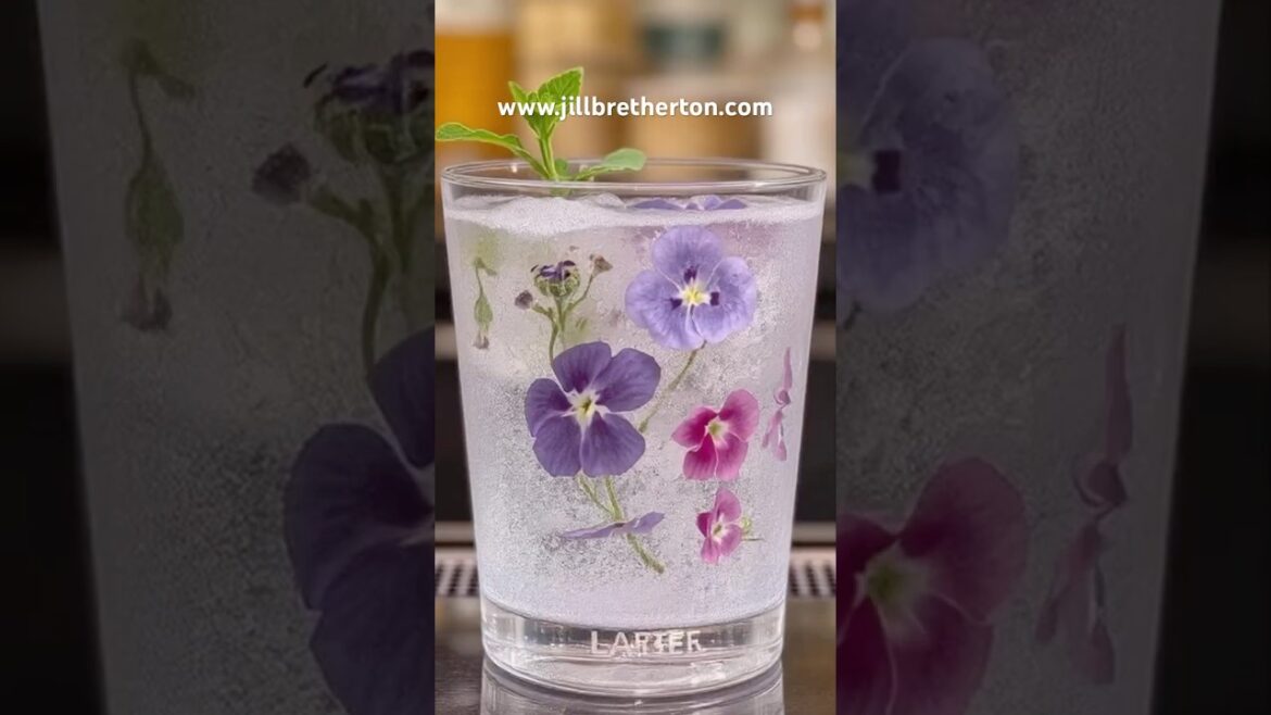 10 edible flowers you can start from seed now (January-spring gardening jobs)