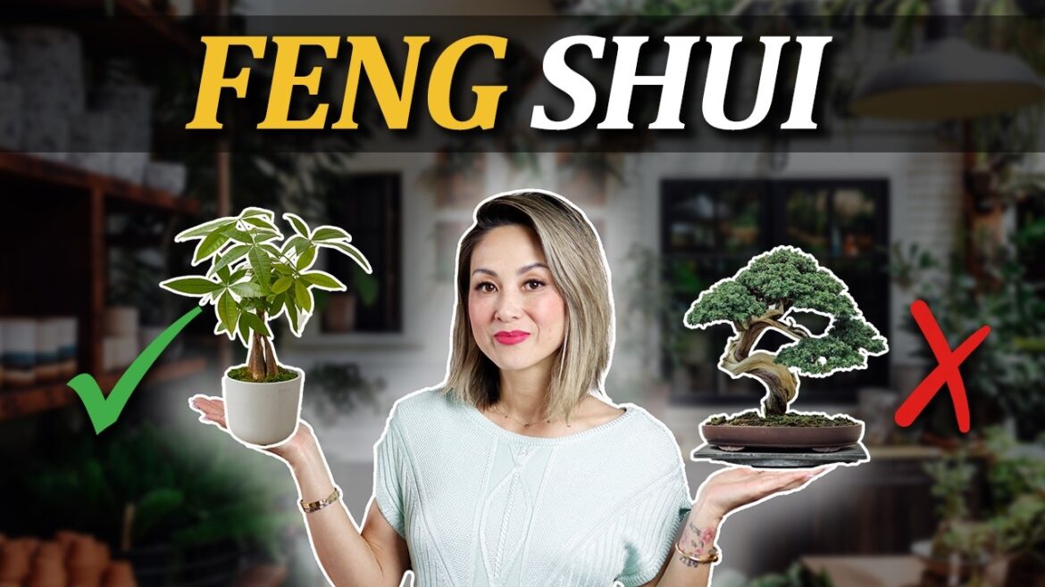 Feng Shui – BEST INDOOR PLANTS (plus 2 to AVOID!) | Julie Khuu Feng Shui - BEST INDOOR PLANTS (plus 2 to AVOID!) | Julie Khuu