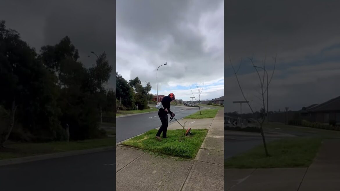 Quick Yard Cleanup 103 #YardCleanUp #GardeningTips #cleanspace  #TrimmingTips #cleaning  #backyard