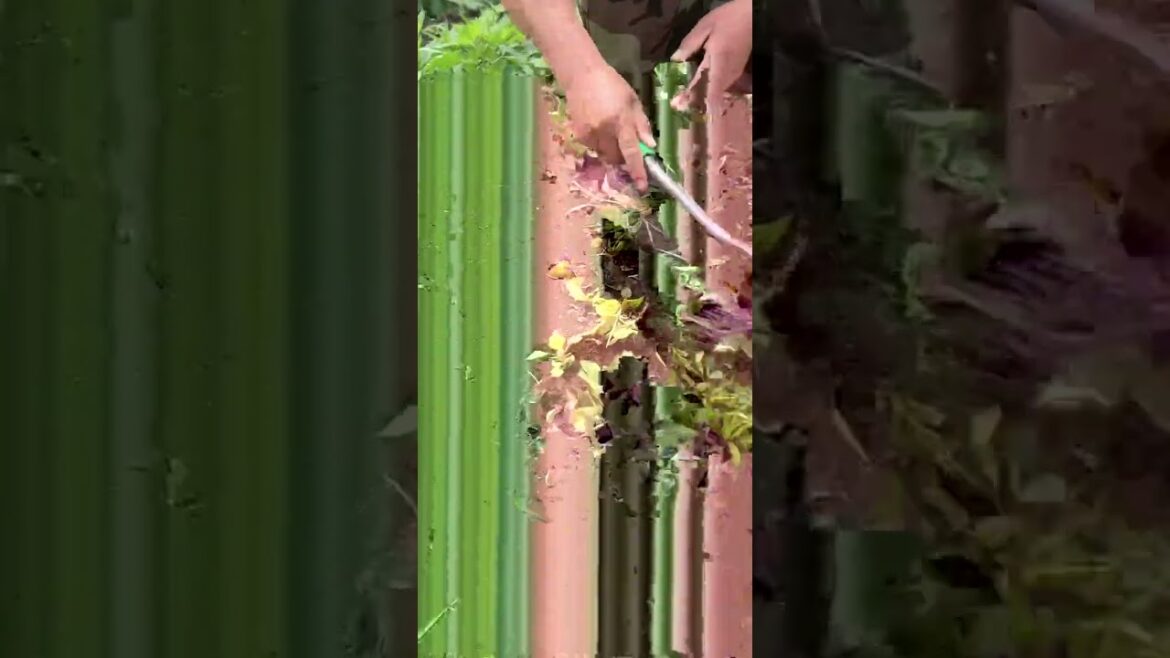 Rural Farmer offer soil amendment workshops #12795