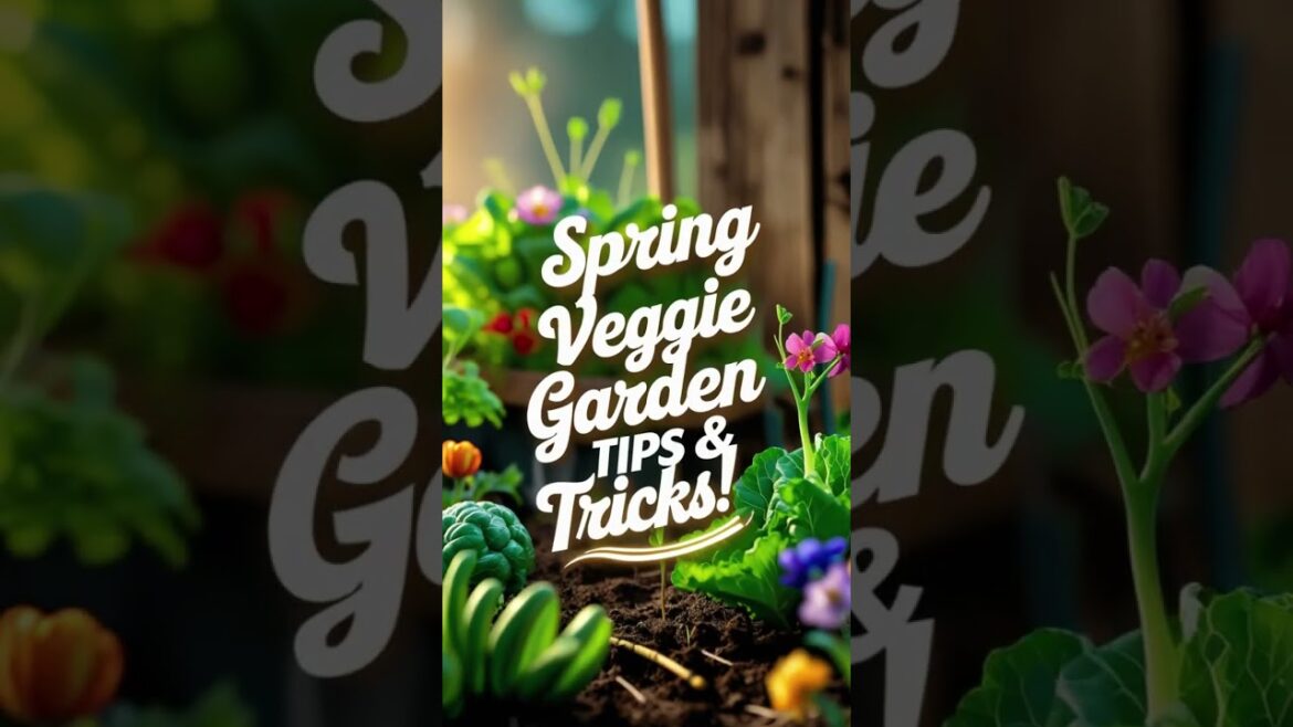 Spring Veggie Garden Tips & Tricks! #shorts #springgardening