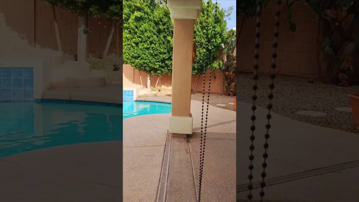 Beautifull backyard in phoenix, Morning view, sunset view and night view #morning #sunset #night