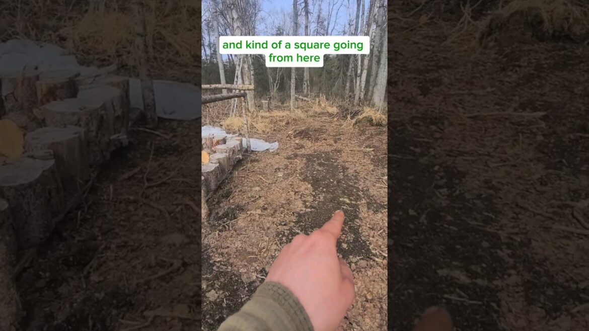 Off-Grid Homestead Chicken Coop Plans