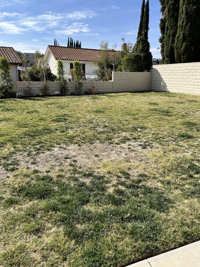 How would you fix this yard? How would you fix this yard?