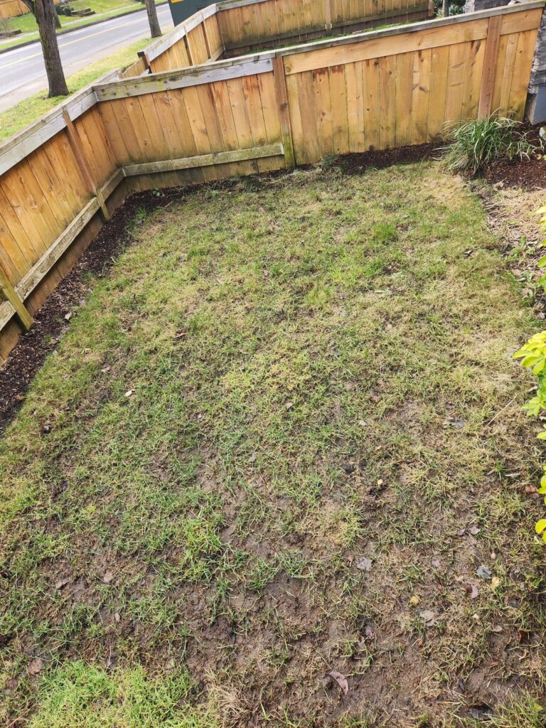 Help with grass Help with grass