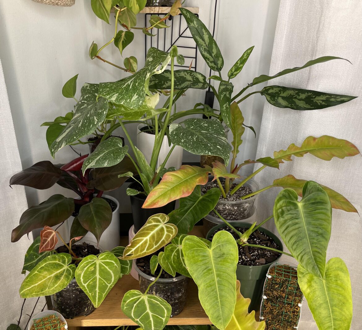 Some of my favorites