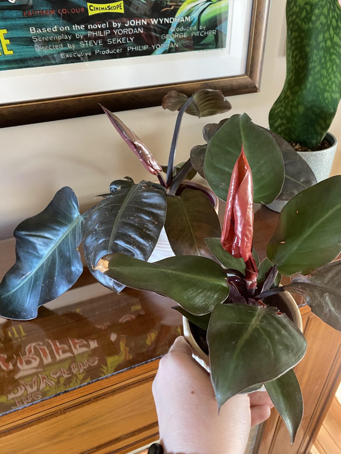 What are these two? What are these two?