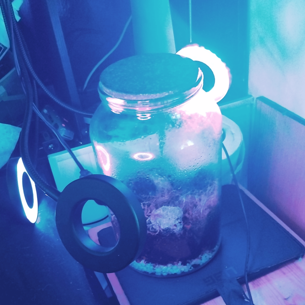 Is this okay for my closed mossarium Is this okay for my closed mossarium