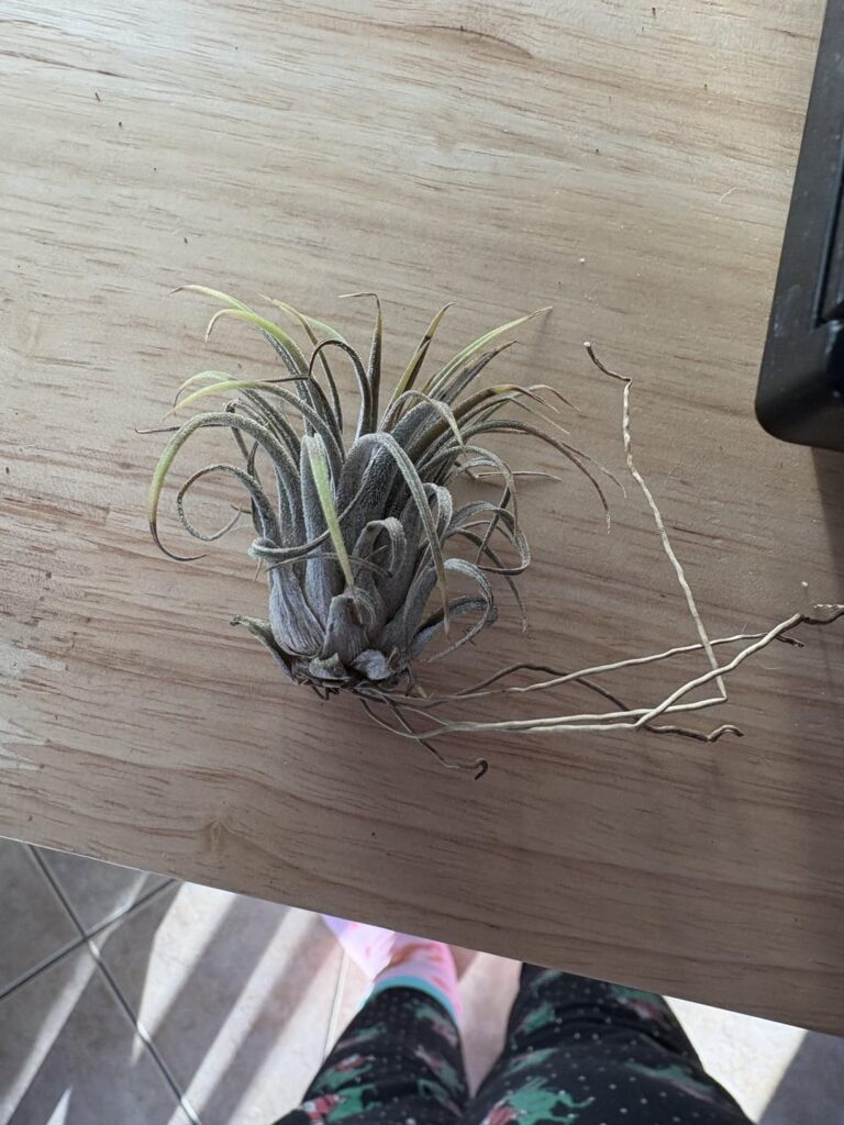 Ugh. I had one job…