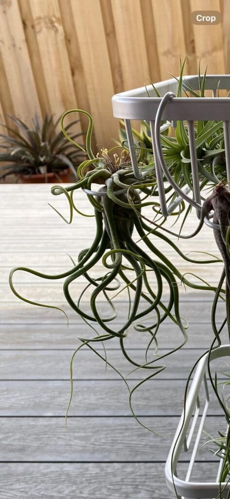 The difference 3-4 hrs of rain can make…