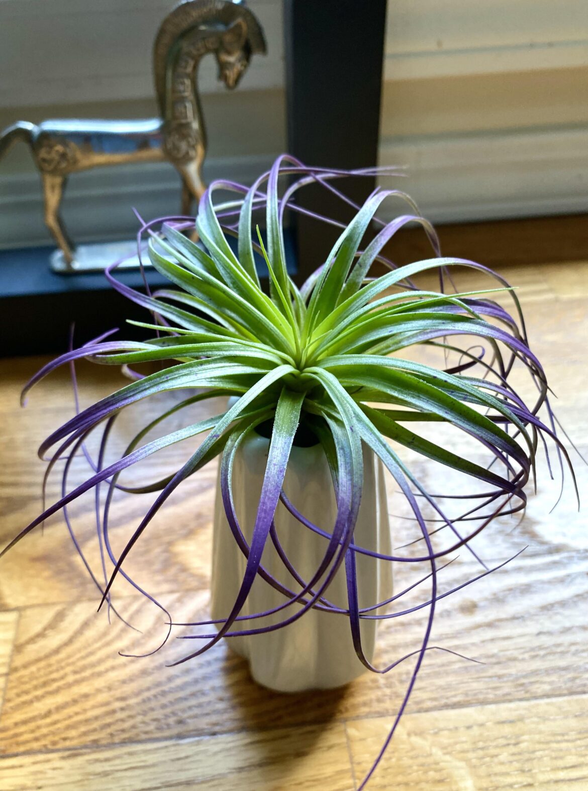 Ever Heard of this one?