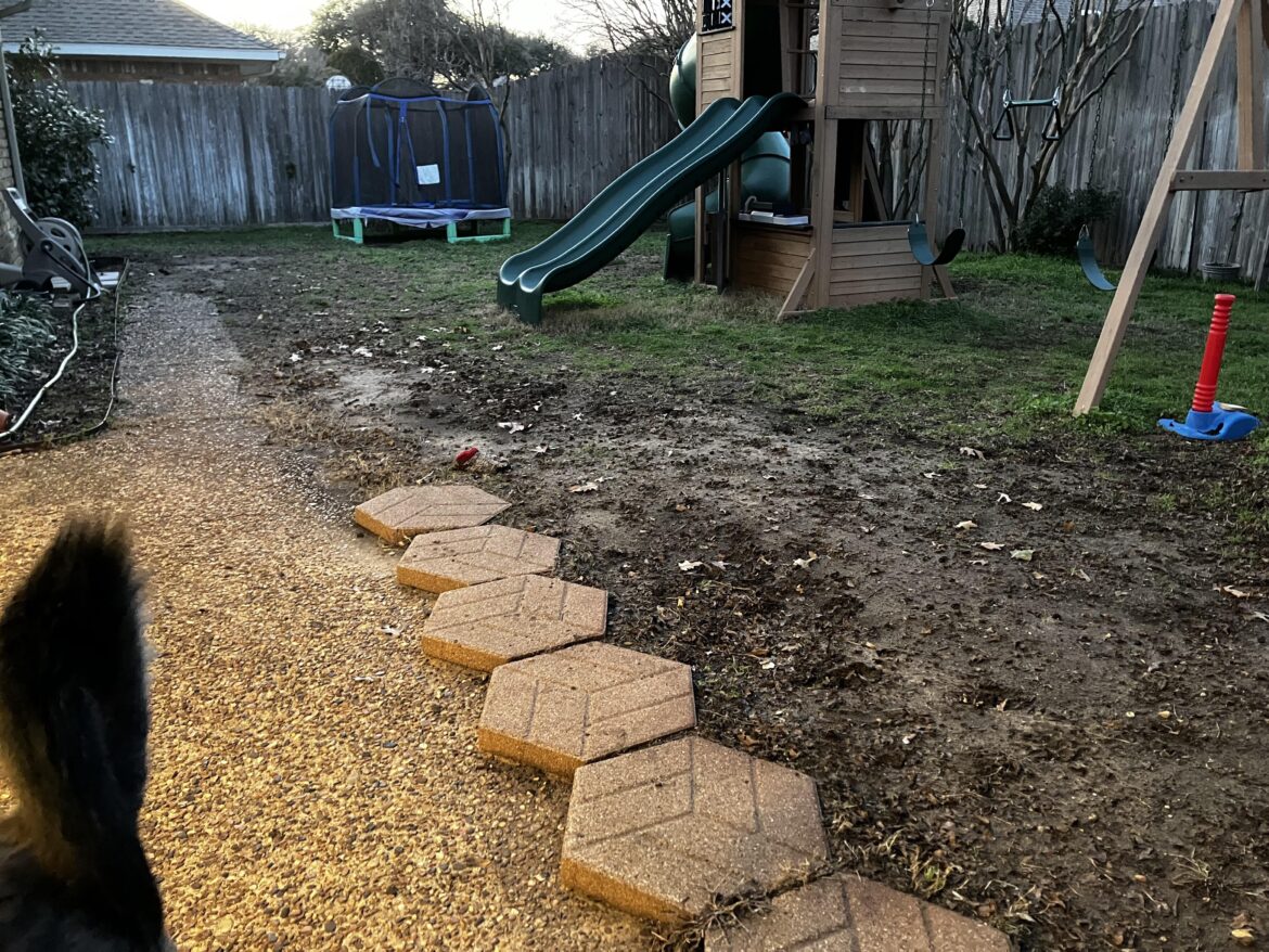 My Dogs have shredded my yard. Anybody have any advice? My Dogs have shredded my yard. Anybody have any advice?