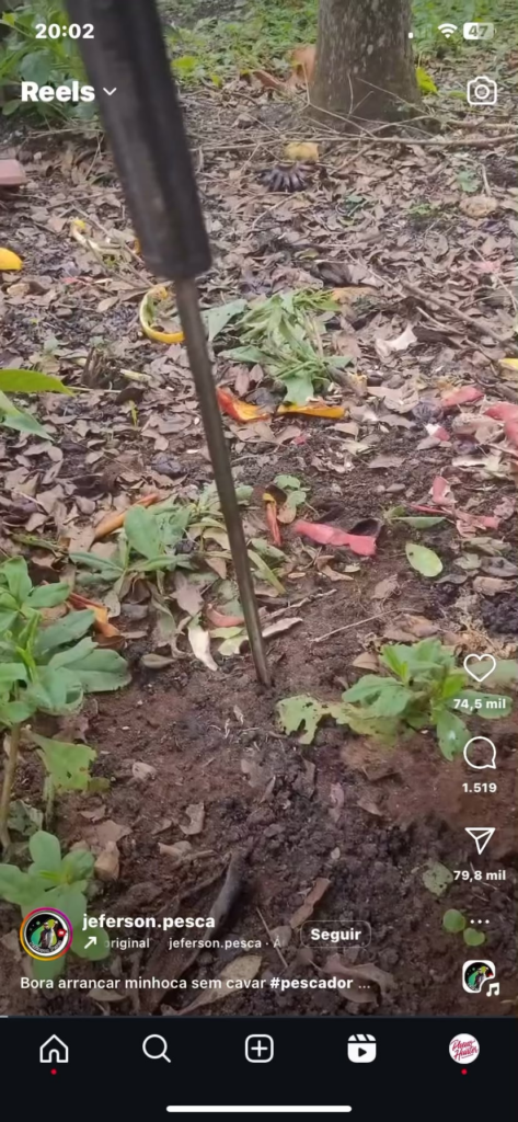 Electricity to catch worms?