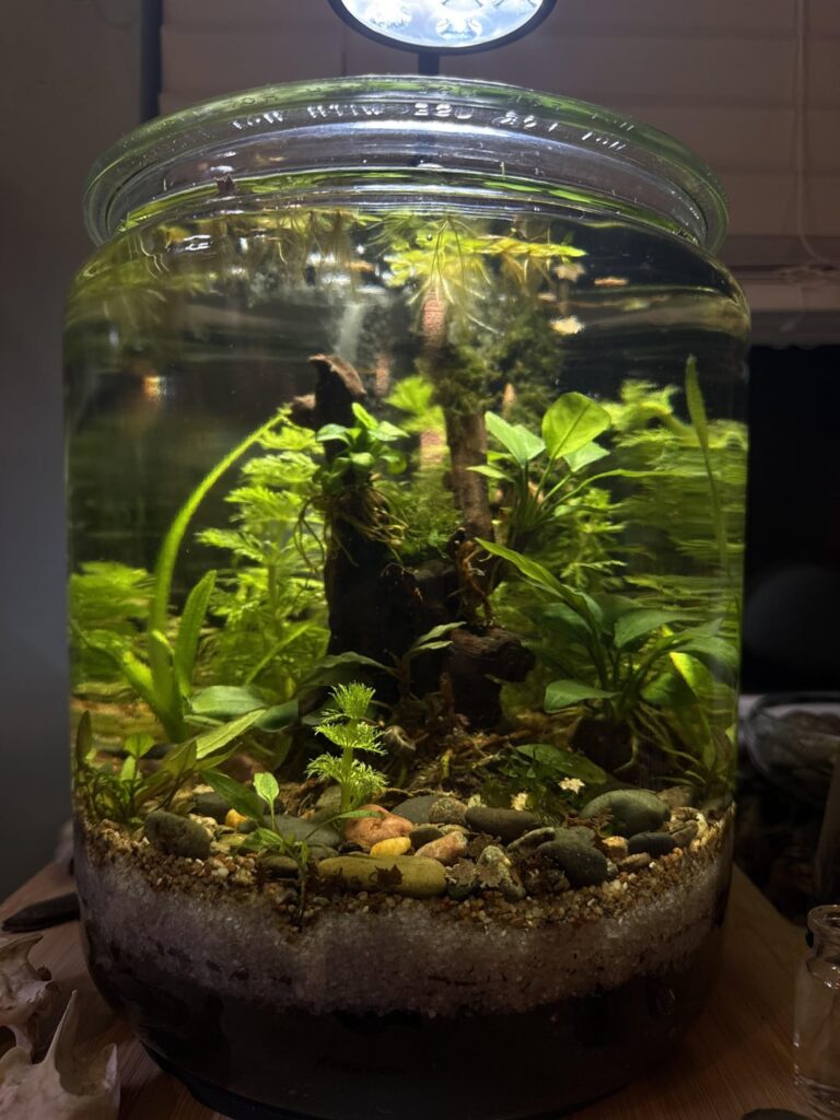 Up and running for 2 weeks now!