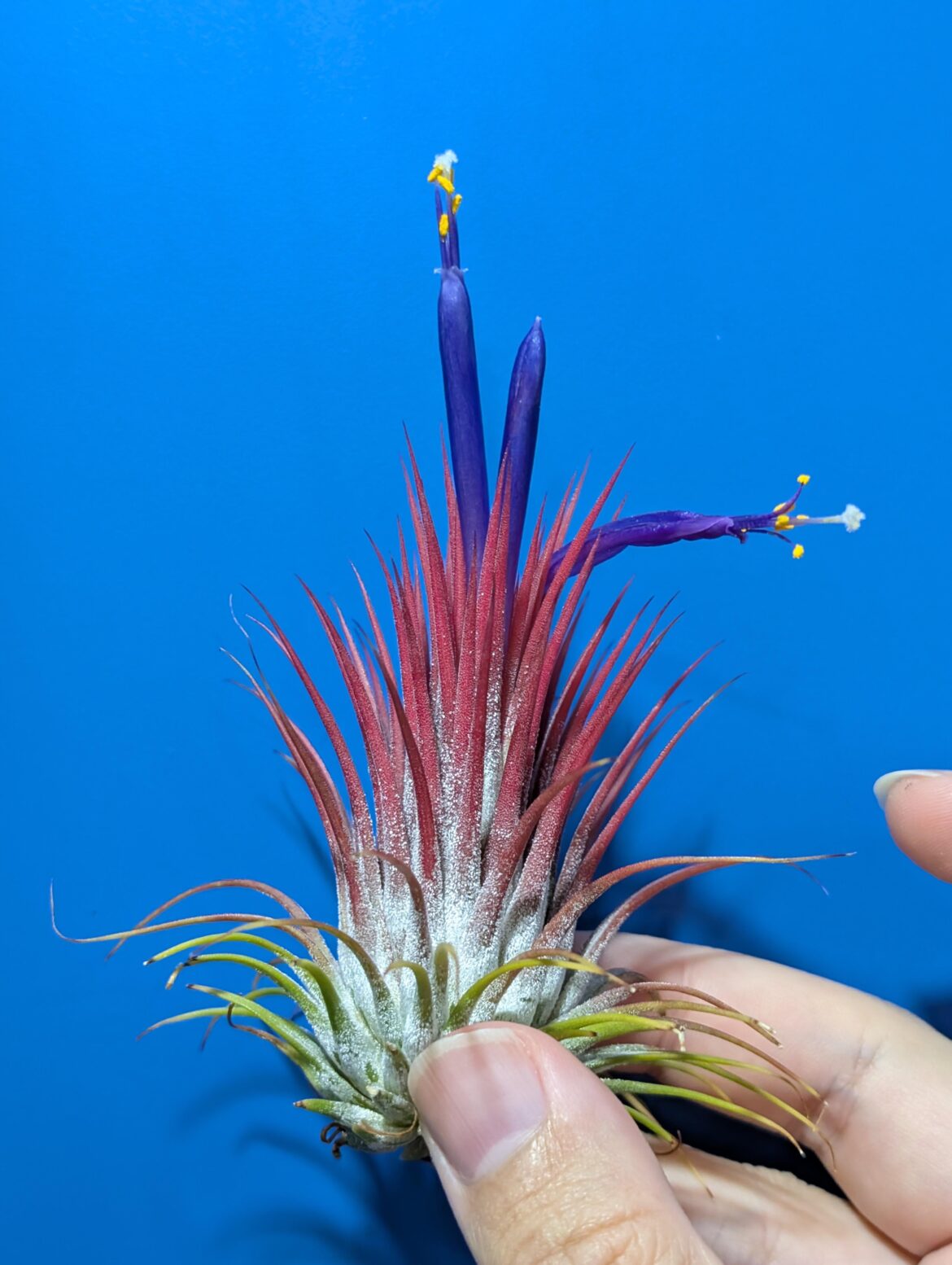 It's the time of the year again!