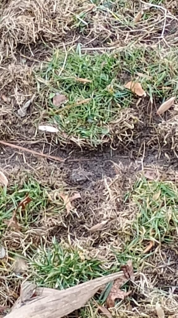 Why would these cracks happen