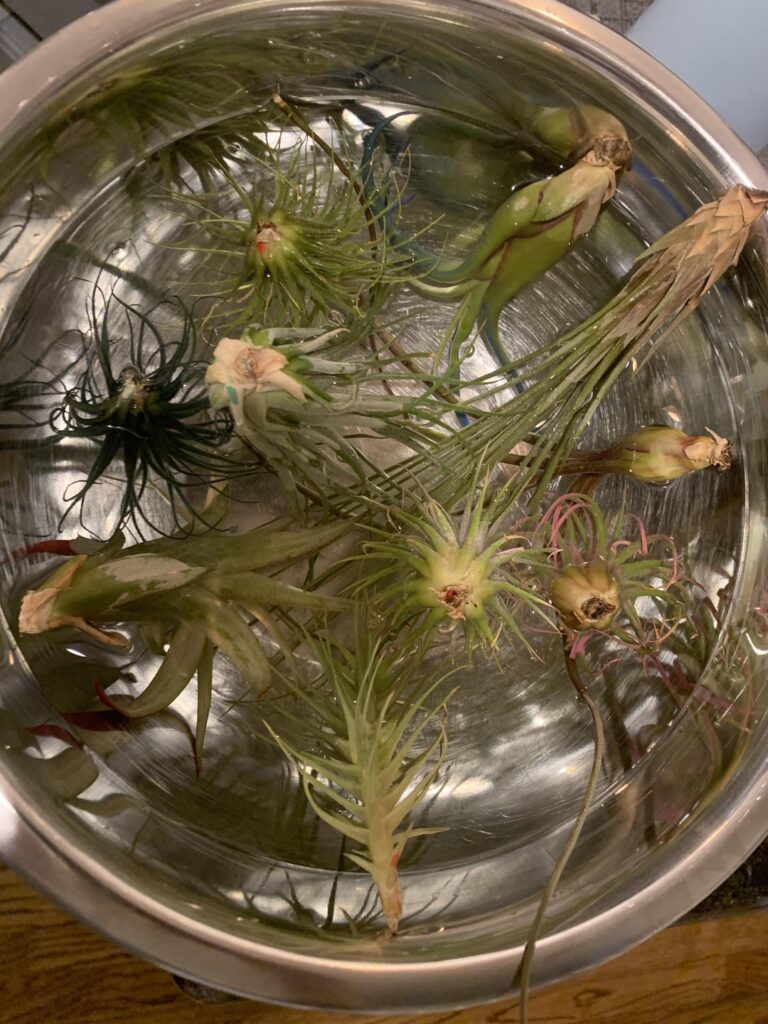 Am I doing this right?